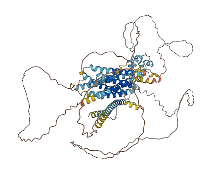 SLC39A10 3D structure