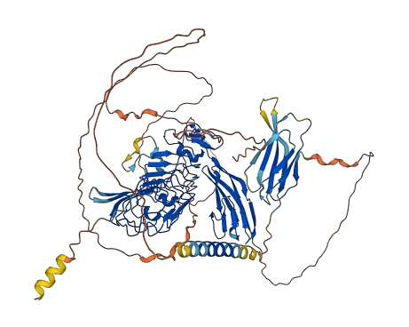 LRFN2 3D structure