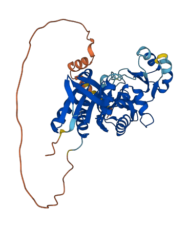 RIMKLB 3D structure