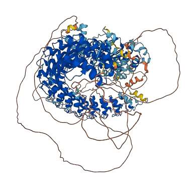ANKRD50 3D structure