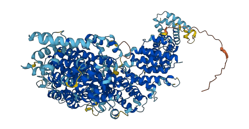 MED23 3D structure