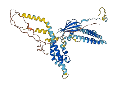 VANGL2 3D structure