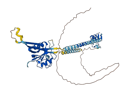 RNF150 3D structure