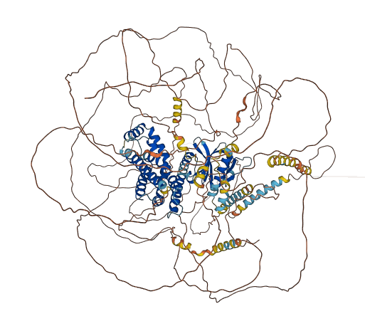 PLEKHG1 3D structure