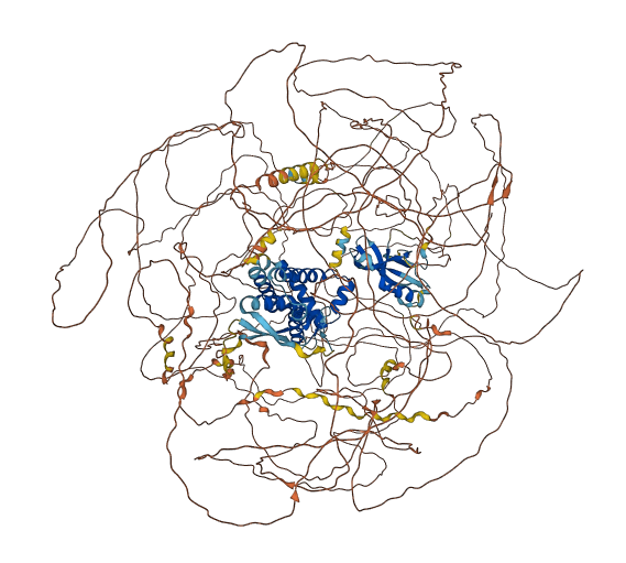 PRR12 3D structure