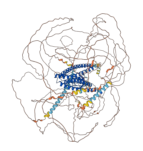 SHROOM4 3D structure
