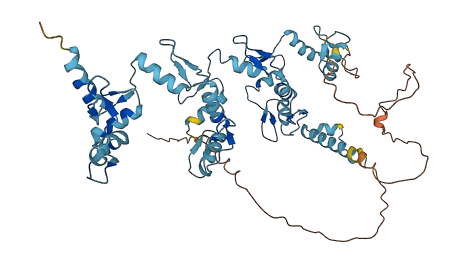 ZNF490 3D structure