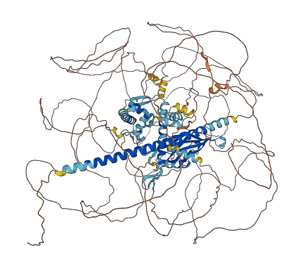 YEATS2 3D structure