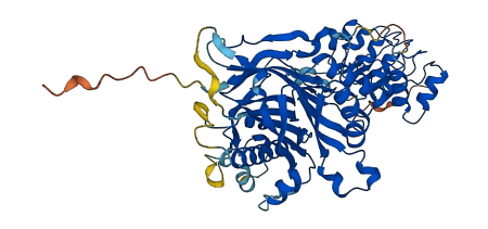 CNOT6 3D structure