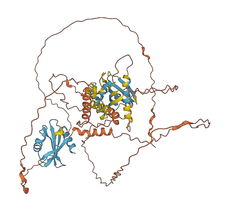 PNMA8B 3D structure