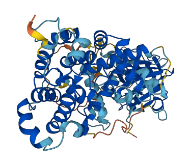 TBC1D24 3D structure