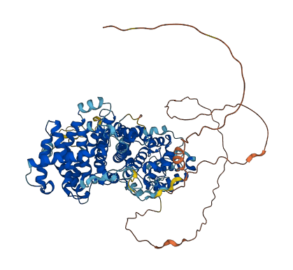 STRIP2 3D structure