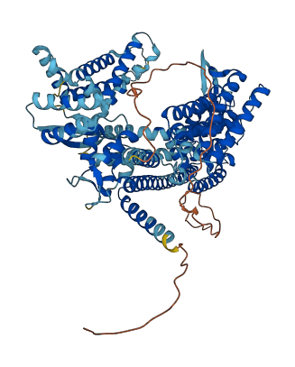 TPCN1 3D structure