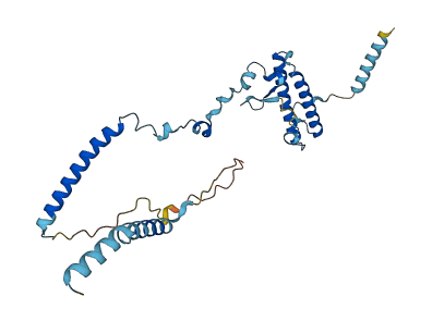 ISY1 3D structure