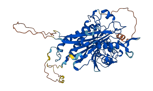 PPM1H 3D structure