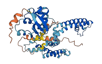 KCNS2 3D structure
