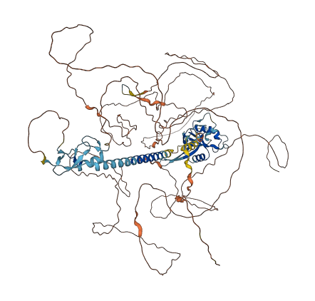 ZNRF3 3D structure