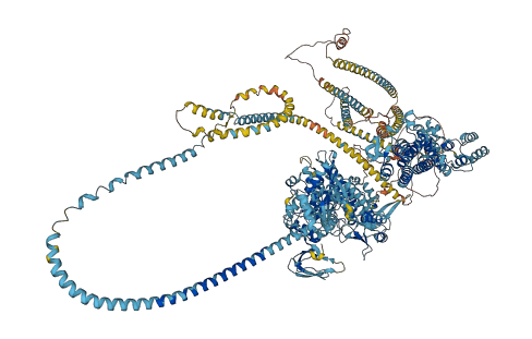 MYO5B 3D structure