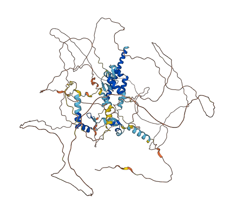 CIZ1 3D structure