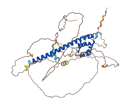 HSF4 3D structure