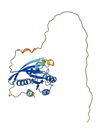 RAB26 3D structure