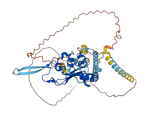 NAP1L2 3D structure