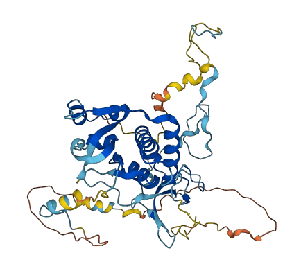 NOB1 3D structure