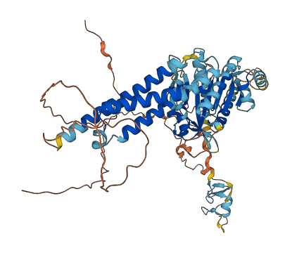 RNF112 3D structure