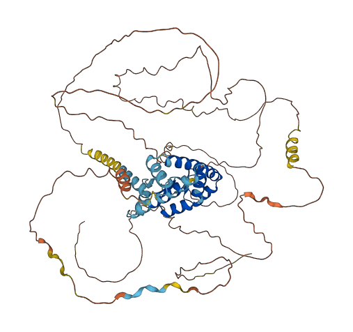 AKAP8L 3D structure