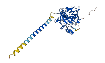 CA14 3D structure