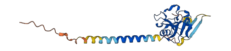 CLEC4E 3D structure