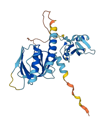 STAP1 3D structure