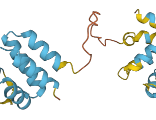 PYCARD 3D structure