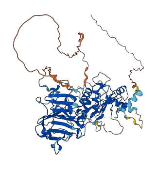 MMP17 3D structure