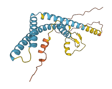 TMCO1 3D structure