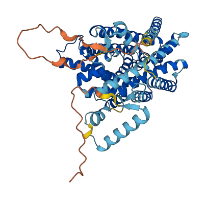SLC7A7 3D structure