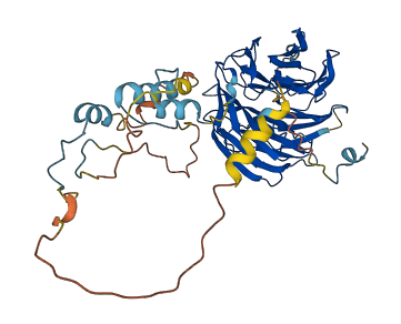 FZR1 3D structure
