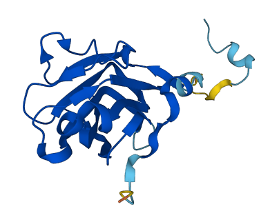 ANAPC10 3D structure