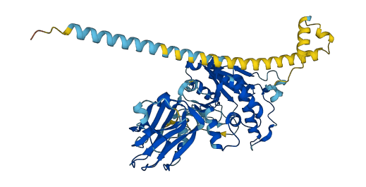 MGAT4A 3D structure