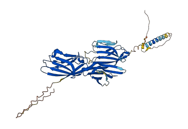 HHLA2 3D structure