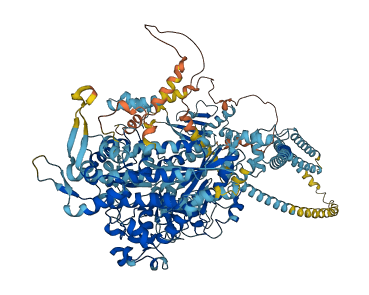 MYO6 3D structure