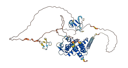 SPATA2 3D structure