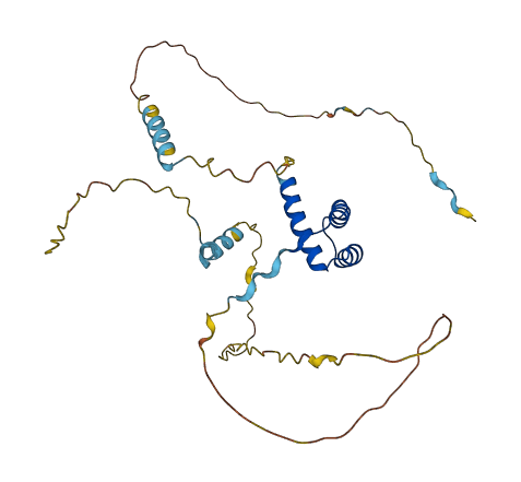 BARX2 3D structure
