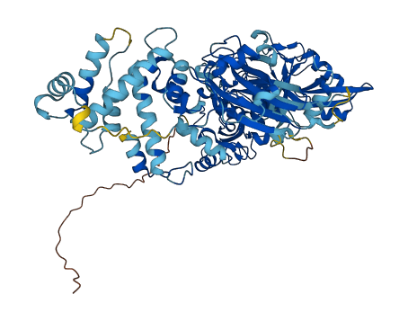 CAPN11 3D structure