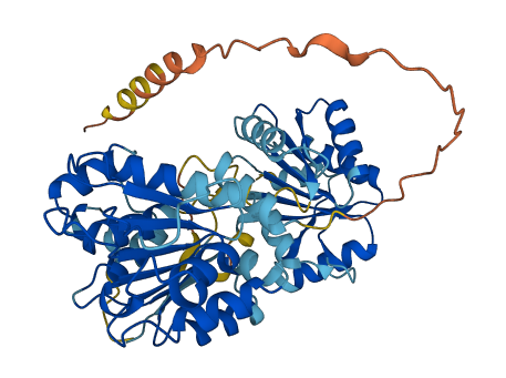 DDX19B 3D structure