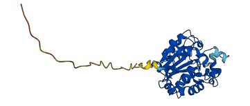 PPT2 3D structure
