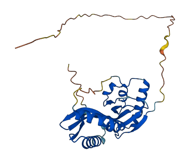 NFU1 3D structure