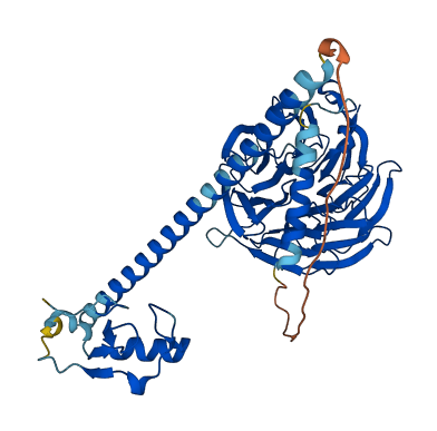 PRPF19 3D structure