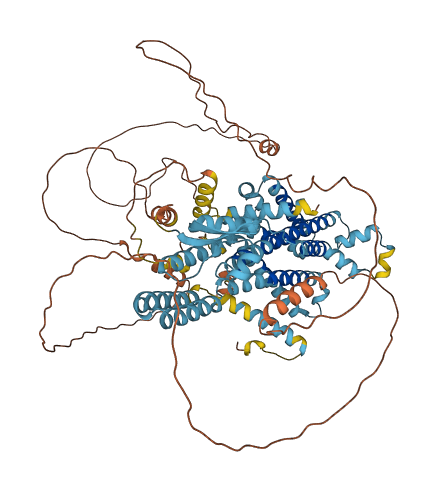 PHTF1 3D structure