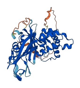 USP18 3D structure